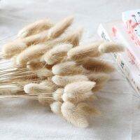 90 Pcs, Dried Bunny Tails Pampas for Flower Arrangements Wedding Home Decor