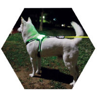 dogled harness Pet Products for Large 7 in 1 color Dog Harness Glowing USB Led Collar Puppy Lead Pets Vest Dog Leads