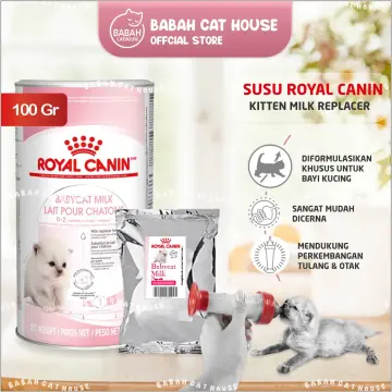 Royal Canin Recovery Untuk Kitten 2024