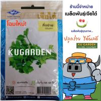 CHIATAI ?? ผักซอง เจียไต๋ คึ่นฉ่าย #CT028 ประมาณ 7,500 เมล็ด เมล็ดพันธุ์ผัก ขึ้นฉ่าย เมล็ดผัก เมล็ดพืช ผักสวนครัว