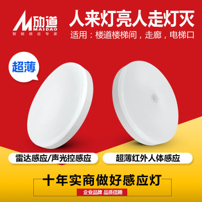 Acoustic-Optical Control Radar Induction LED Ceiling Light Stair Aisle Ultra-Thin Anti Mosquito Infrared Human Body Induction Ceiling Light