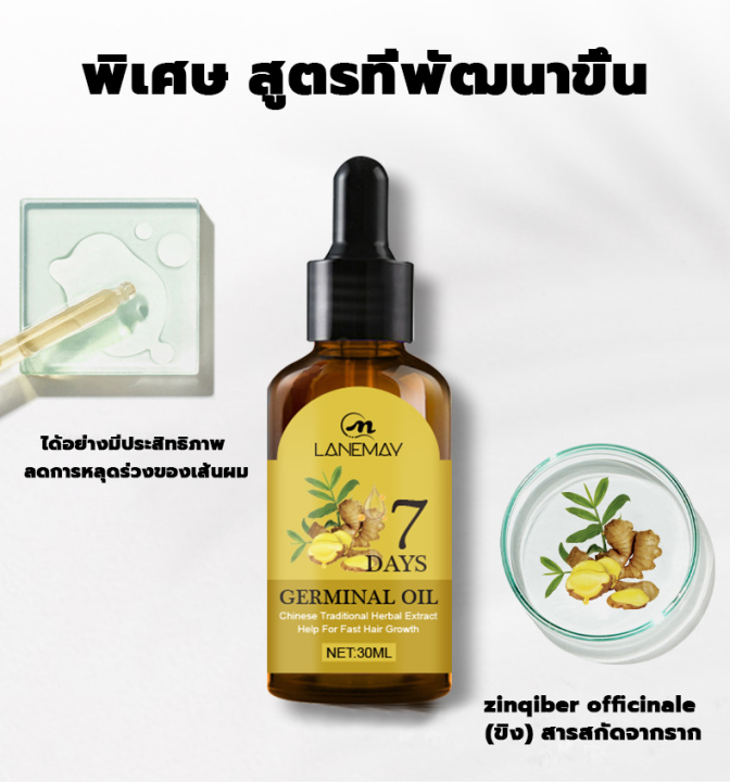 lanemay-hair-serum-เซรั่มบำรุงผม-30ml-1ขวด-เอสเซ้นส์ขิงบำรุงผม-กันร่วง-เซรั่มปกป้องผม-เซรั่มขิงปลูกผม-น้ำยาปลูกผม-บำรุงผม-เซรั่มปลูกผม-ป้องกันผมร่วง-น้ำยาเร่งผมยาว-แชมพูปลูกผมดก-เซรั่มใส่ผม-สเปรย์ปลูก