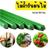 ไม้ค้ำต้นไม้ ยาว 90 ซม. หนา 11 มม. ไม้ค้ำยันต้นไม้ ค้างต้นไม้ ค้างผัก ซุ้มไม้ Plants support stick ไม้ค้ำยันต้นไม้ หลักไม้ค้ำ เสามะเขือเทศ ซุ้มไม้