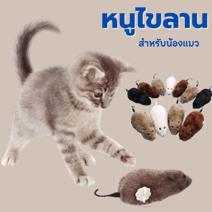 พร้อมส่งในไทย-ของเล่นแมว-หนูไขลาน-หลากสี-ของเล่นสัตว์เลี้ยง-ของเล่นไขลาน