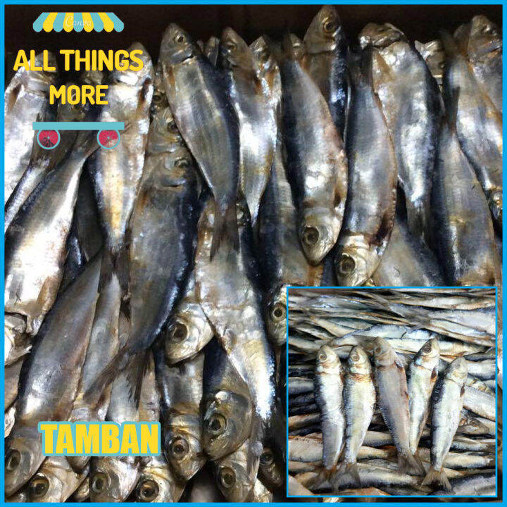 All Things More Tamban/ Sardinella 100g 250g 500g 1kilo fresh from cebu ...