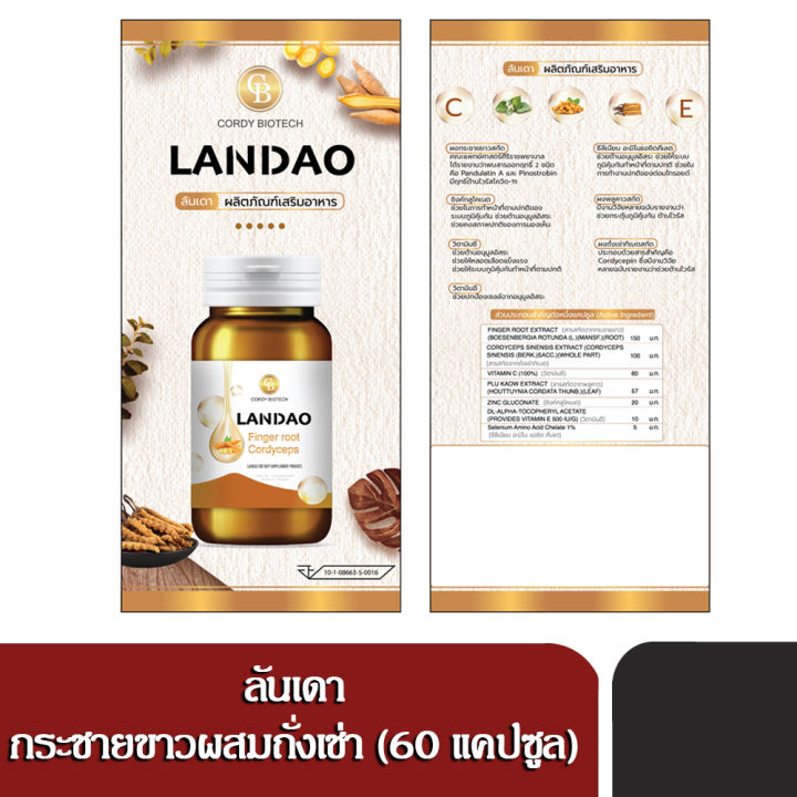 promotion-3แถม1-landao-ลันเดา-กระชายขาวผสมถั่งเช่า-ช่วยเสริมภูมิต้านทานในร่ายกายให้แข็งแรง-บรรจุ-60-เเคปซูล