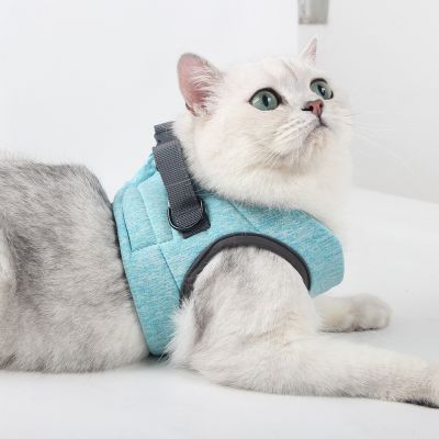 （PAPI PET）สายปลอกคอใส่สบายเสื้อกั๊กแมวสุนัขโพลีเอสเตอร์,อุปกรณ์ช่วยให้สุนัขเดินนอกบ้านได้ง่ายควบคุมได้ง่ายพร้อมชุดสายจูงจูง