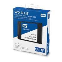 177.SSD 250 GB WD Blue 3D NAND (WDS250G2B0A)