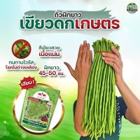 ใหม่! เมล็ดถั่วฝักยาว เขียวดกเกษตร ตราศรแดง เมล็ดเคลือบ เมล็ดพันธุ์ถั่วฝักยาว ถั่วฝักยาวถึ่งเนื้อกึ่งเส้น ถั่วฝักยาวศรแดง