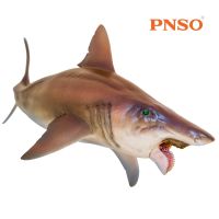 PNSO Pengurion Shark Sea Life ของเล่นคลาสสิกสำหรับเด็ก Boy สัตว์โบราณรูป Movable Jaw