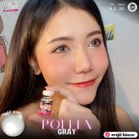 ร้านเลนส์สวย คอนแทคWink รุ่น Pollen สี Gray เทา ?มีค่าสายตา นำเข้าจากเกาหลี มี อย.ไทยของแท้100%(ลายสุดHit ขายดี)