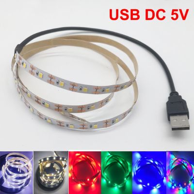 5V ไฟแถบไฟ LED พลังงาน USB RGB/ขาว/อบอุ่นสีขาว2835 3528 SMD HDTV เดสก์ทอปทีวีพีซีหน้าจอแบ็คไลท์และไฟเฉพาะจุด1M 2M 3M 4M แถบไฟแถบไฟ LED