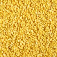 MOONG DAAL 500 GM -YELLOW  SPLIT GRAM 500GM