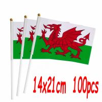 ZXZ 100pcs Wales hand Flag 14*21cm Polyester Double Side Printing Wales Welsh Hand waving Flag with plastic flagpole