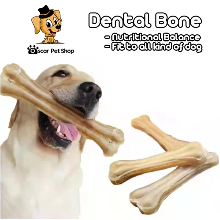 does chewing bones help dogs teeth