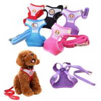 【FCL】✌♞ Mesh Dog Harness and Leash Set Small Accessories LeadPink Chest Breathable Perro Supplies Personalized