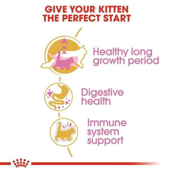 royal-canin-kitten-maine-coon-cat-food-อาหารแมว-รอยัล-คานิน-สำหรับลูกแมวพันธุ์เมนคูน-อายุ-4-15-เดือน-ขนาด-10-กก