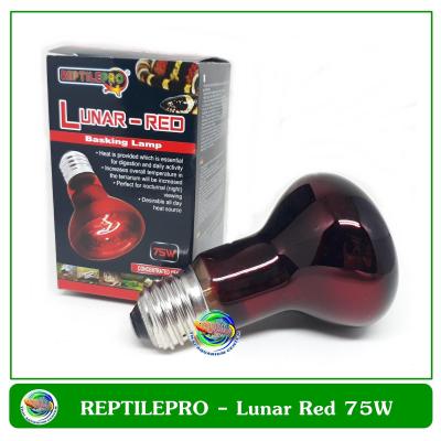 หลอดไฟให้แสงกลางคืนและความร้อนสำหรับสัตว์เลื้อยคลาน  REPTILEPRO Lunar-Red Basking Lamp 75W