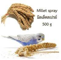 ช่อมิลเล็ต Millet Spray สีเหลืองสำหรับนก ขนาด 500g.[COD]ส่งเร็ว