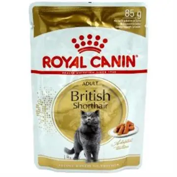 Best food 2025 for british shorthair