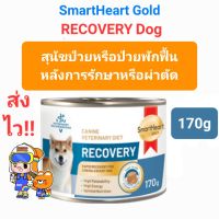 SmartHeart Gold RECOVERY 170g Dog สมาร์ทฮาร์ท โกลด์  อาหารเปียกสุนัขป่วยหรือพักฟื้น หลังการรักษาหรือผ่าตัด ขนาด 170 กรัม