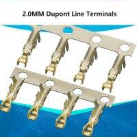 200Pcs 2.0mm Dupont Line Terminals Reed Connector Crimping Terminal Female Terminals