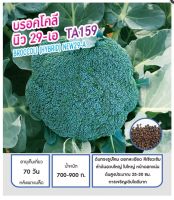 เมล็ดพันธุ์ บรอคโคลี บร็อคโคลี่ บรอกโคลี นิว 29 - เอ - Broccoli New -29-A ตราดอกแตง เมล็ดพันธุ์คุณภาพ "เพื่อนเกษตรกร"