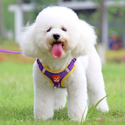 ▫♕ สายจูงสุนัข เสื้อกั๊กสุนัขขนาดเล็ก ตุ๊กตาจูงสุนัข Bichon Frize สายจูงสุนัข Pomeranian Chest Back Dog Walking Pet Supplies