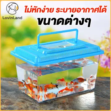 Small Fish Tank Aquarium ราคาถูก ซื้อออนไลน์ที่ - เม.ย. 2024
