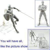 Hws 2 . 0 โมเดลตุ๊กตา Pvc Shf Body Kun Dx