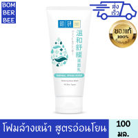 ฮาดะ ลาโบะ โฟมเธอร์เมิลสปริงวอเทอร์รีแล็กซิ่ง 100 กรัม HADA LABO