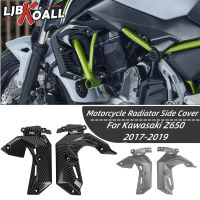 ✤ For Kawasaki Z650 2017-2019 Radiator Side Cover Left Right Panel Fairing Cowl Motorcycle Z 650 2018 Accessories