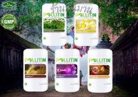 POLLITIN-พอลลิติน-ชื่อเดิมCernitin-เซอร์นิติน-ชุดเสริมภูมิคุ้มกัน