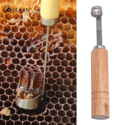 1Pc Beehive Tool Extractor เครื่องมือ Beehive ทำความสะอาด Scraper ใช้งานได้จริง Remover Beekeepers อุปกรณ์สำหรับภายนอกสวนกลางแจ้ง