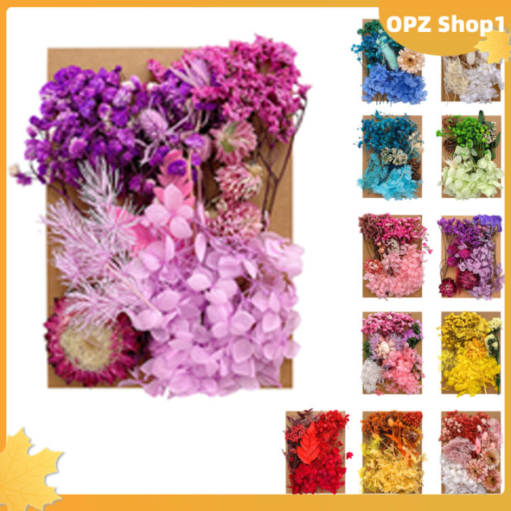 opz-ดอกไม้แห้งกดดอกไม้แห้ง1ถุงสำหรับเคสโทรศัพท์-diy-บรรจุอีพอกซีเรซินงานศิลปะสำหรับตกแต่งเล็บงานฝีมือทำเครื่องประดับจี้