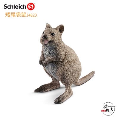 Sile schleich short-tailed kangaroo toy 14823 simulation wild animal model toy ornament