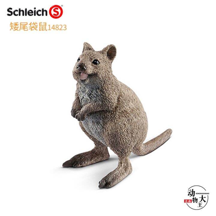 sile-schleich-short-tailed-kangaroo-toy-14823-simulation-wild-animal-model-toy-ornament