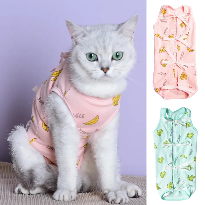 [Ready] Cat Clothes Professional Wound Prevention Antiinfection Cat