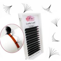 【cw】 Lash 1second Extension Korea PBT Volume Fans Lashes False Individual !