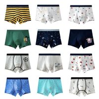 4PcsLot Boys Boxer Childrens Underwear Stripped Navy Blue Cato Underpants BoysClothing