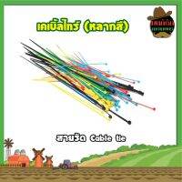 เคเบิ้ลไทร์ (หลากสี) สายรัด Cable tie