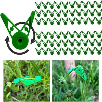 10/20/50/100 PCS Plant Branches Bender Training Clips Garden Trainer Clips 360°Adjustable Holder for Stress Training Tools