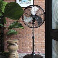 พัดลมเหล็กตั้งพื้น Bungalow Stand Fan 20 3 Speed (BLACK)