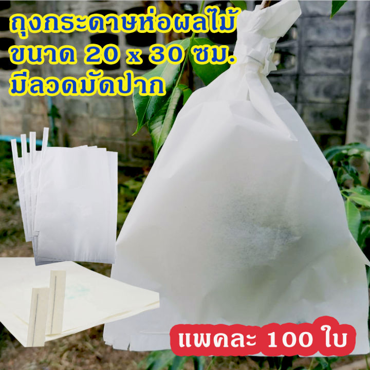 แพคละ-100-ใบ-ถุงกระดาษห่อผลไม้-มีลวดมัดปาก-ขนาด-20x30-ซม-ห่อมะม่วง-ห่อชมพู่-ห่อกระท้อน-ราคา-250-บาท