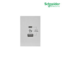 Schneider Electric เต้ารับ USB Type C+A สีเทา Duplex USB Type C+A, Gray, Schneider รุ่น AvatarOn A รหัส M3T_USB2_GY สั่งซื้อได้ที่ร้าน PlugOn