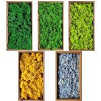 500G Artificial Plants Eternal Life Moss /Garden Home Decor Wall DIY Flower Material Mini Garden Micro Landscape Fake Moss Gift