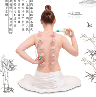 badge12pcs Biomagnetic Chinese Slimming Therapy Vacuum Massager Cupping Setถ้วย จีน ชุดป้องสมบูรณ์อุปกรณ์ดูดสูญญากาศอุปกรณ์สำหรับใช้ในครัวเรือนแม่เหล็กบำบัดดูดป้องเคร