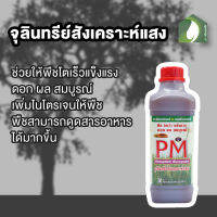 PM จุลินทรีย์สังเคราะห์แสง LETS Growth