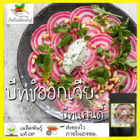 เมล็ดพันธุ์ บีทชิออกเจีย 50 เมล็ด Chioggia Beet เมล็ดพันธุ์แท้ นำเข้าจากต่างประเทศ ปลูกผัก สวนครัว เพาะง่าย บีทแคนดี้