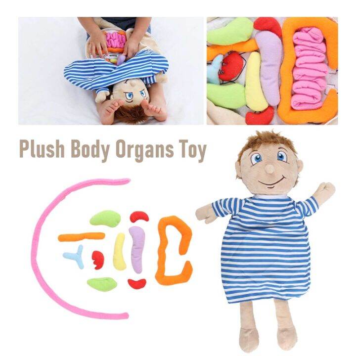Kids Assembled Plush Body Organs Toy Human Body Anatomy Plush Doll